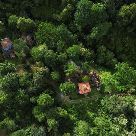 Mahout Resort Wayanad - An Experiential Jungle Stay With Waterfall Kalpetta Exterior photo