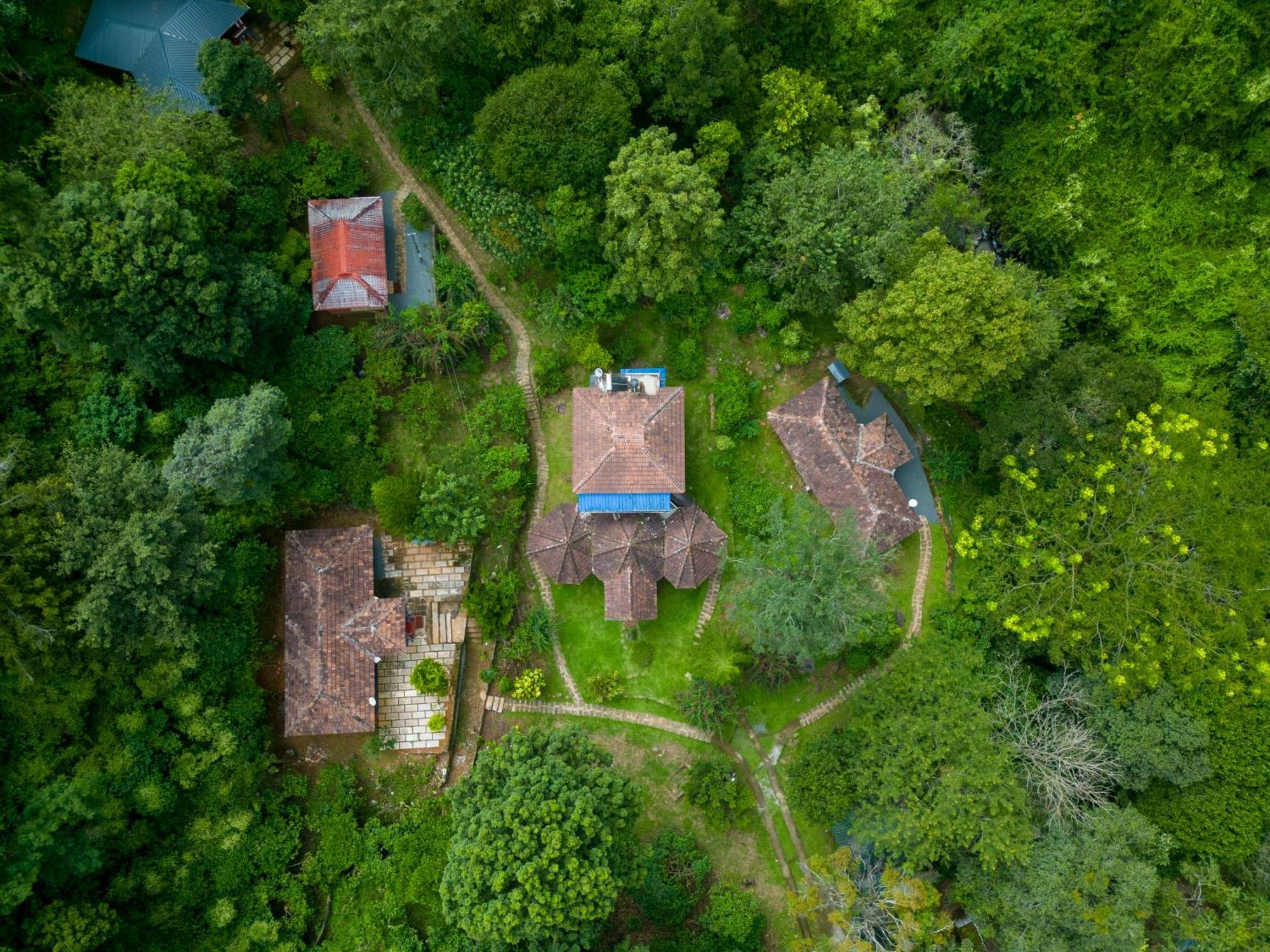 Mahout Resort Wayanad - An Experiential Jungle Stay With Waterfall Kalpetta Exterior photo