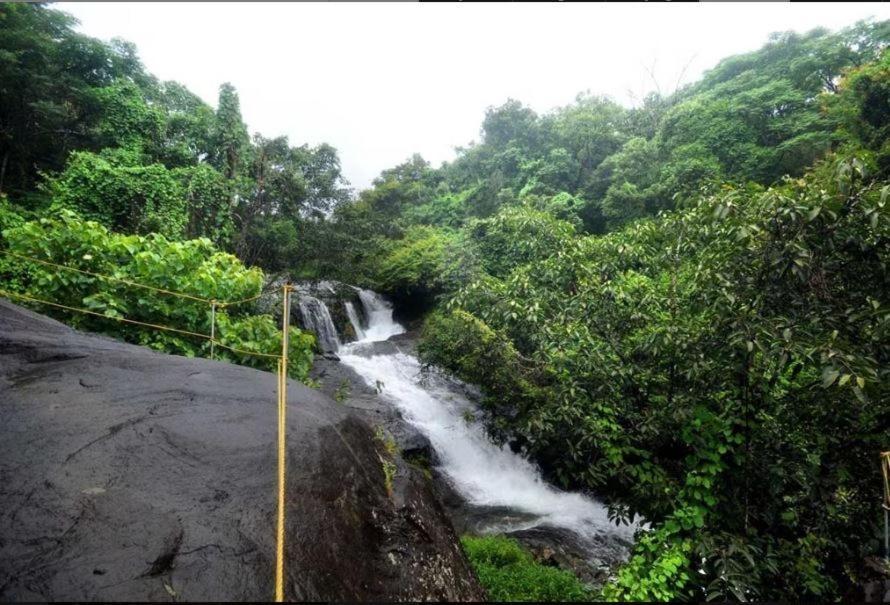 Mahout Resort Wayanad - An Experiential Jungle Stay With Waterfall Kalpetta Exterior photo