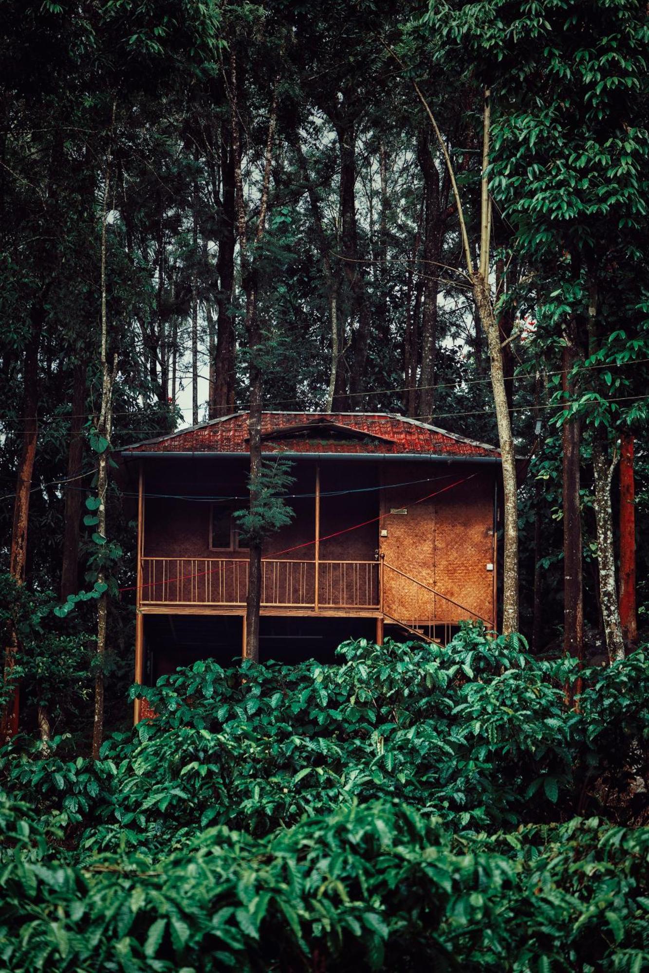 Mahout Resort Wayanad - An Experiential Jungle Stay With Waterfall Kalpetta Exterior photo
