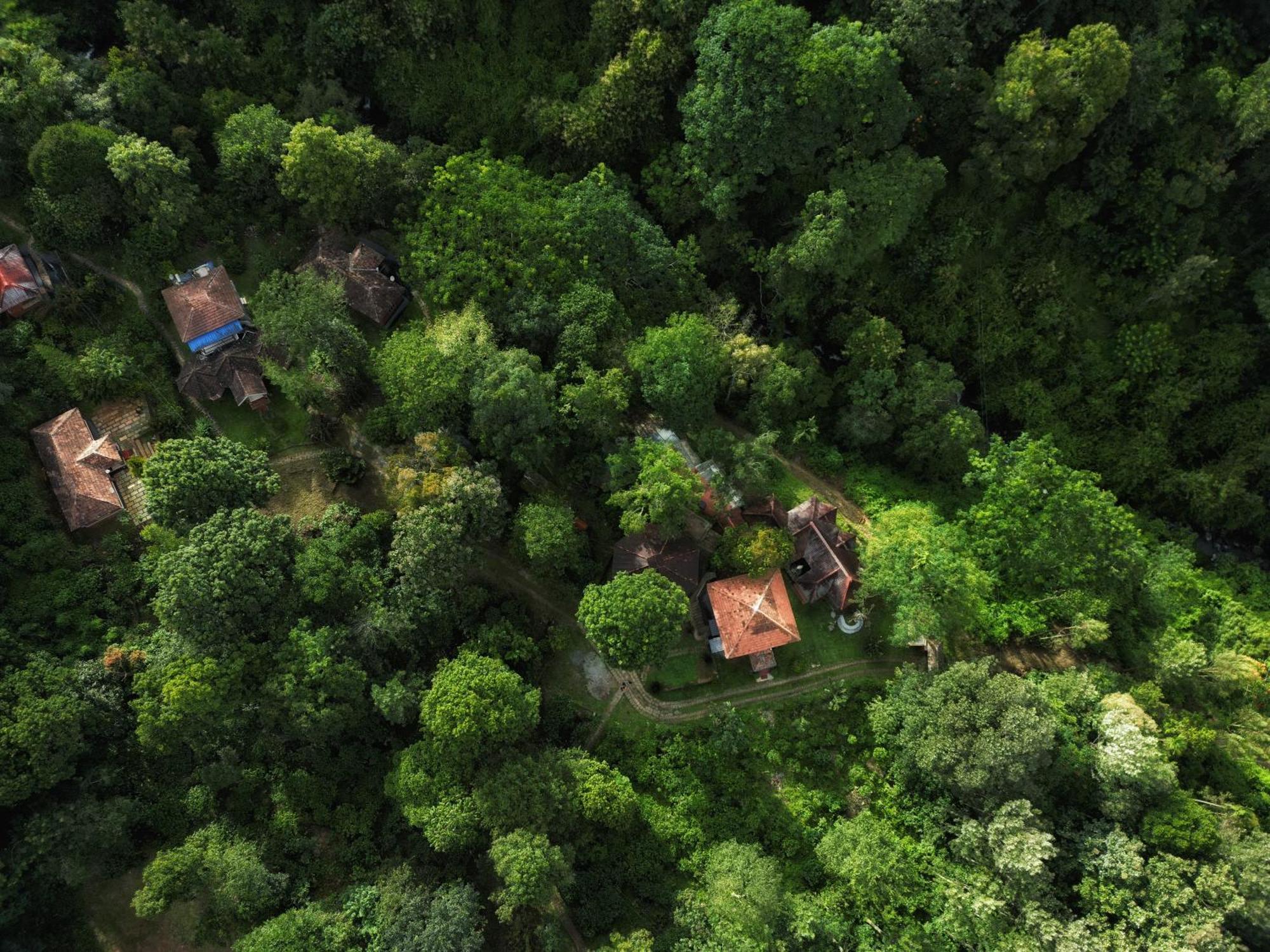 Mahout Resort Wayanad - An Experiential Jungle Stay With Waterfall Kalpetta Exterior photo