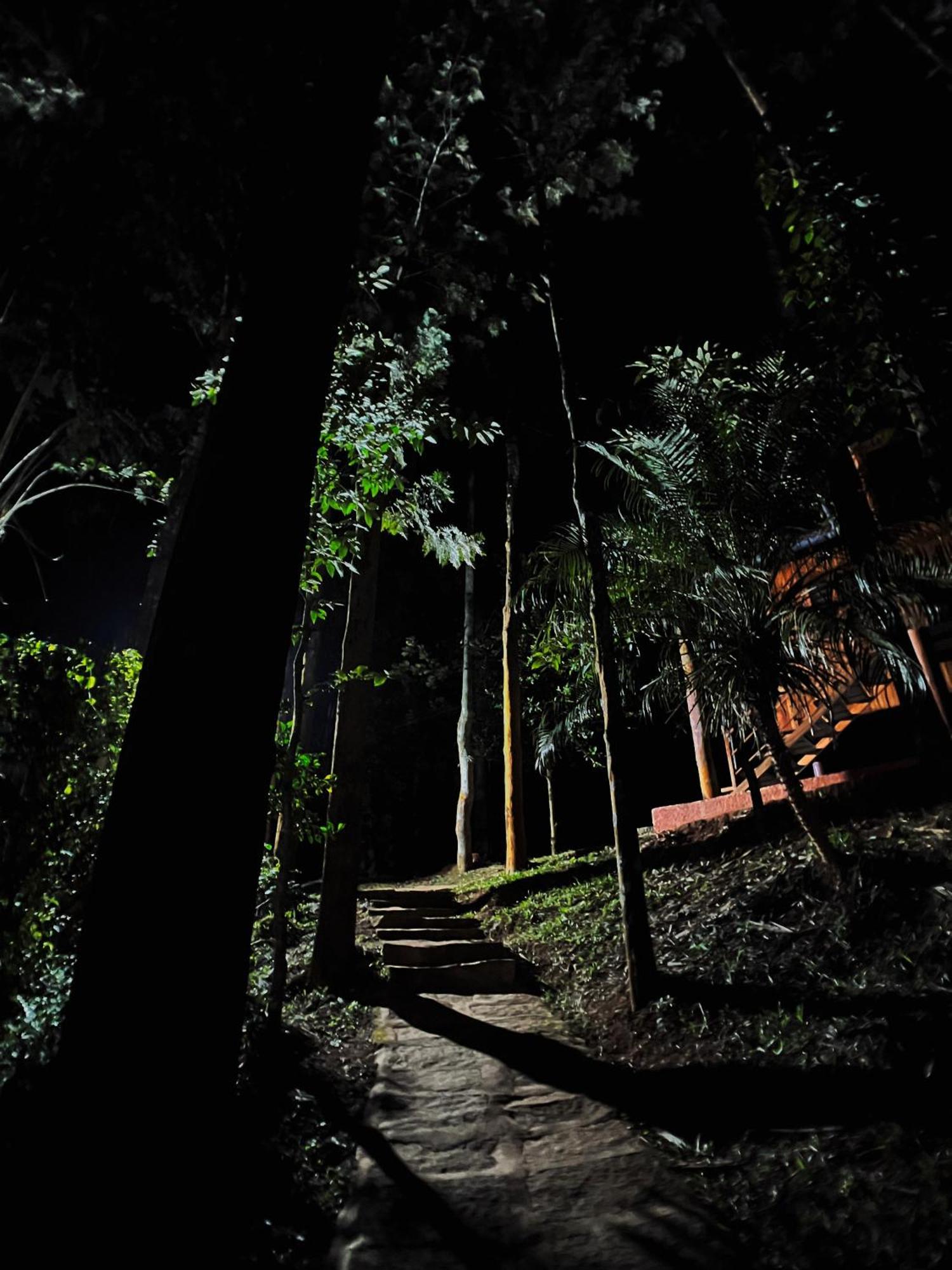 Mahout Resort Wayanad - An Experiential Jungle Stay With Waterfall Kalpetta Exterior photo