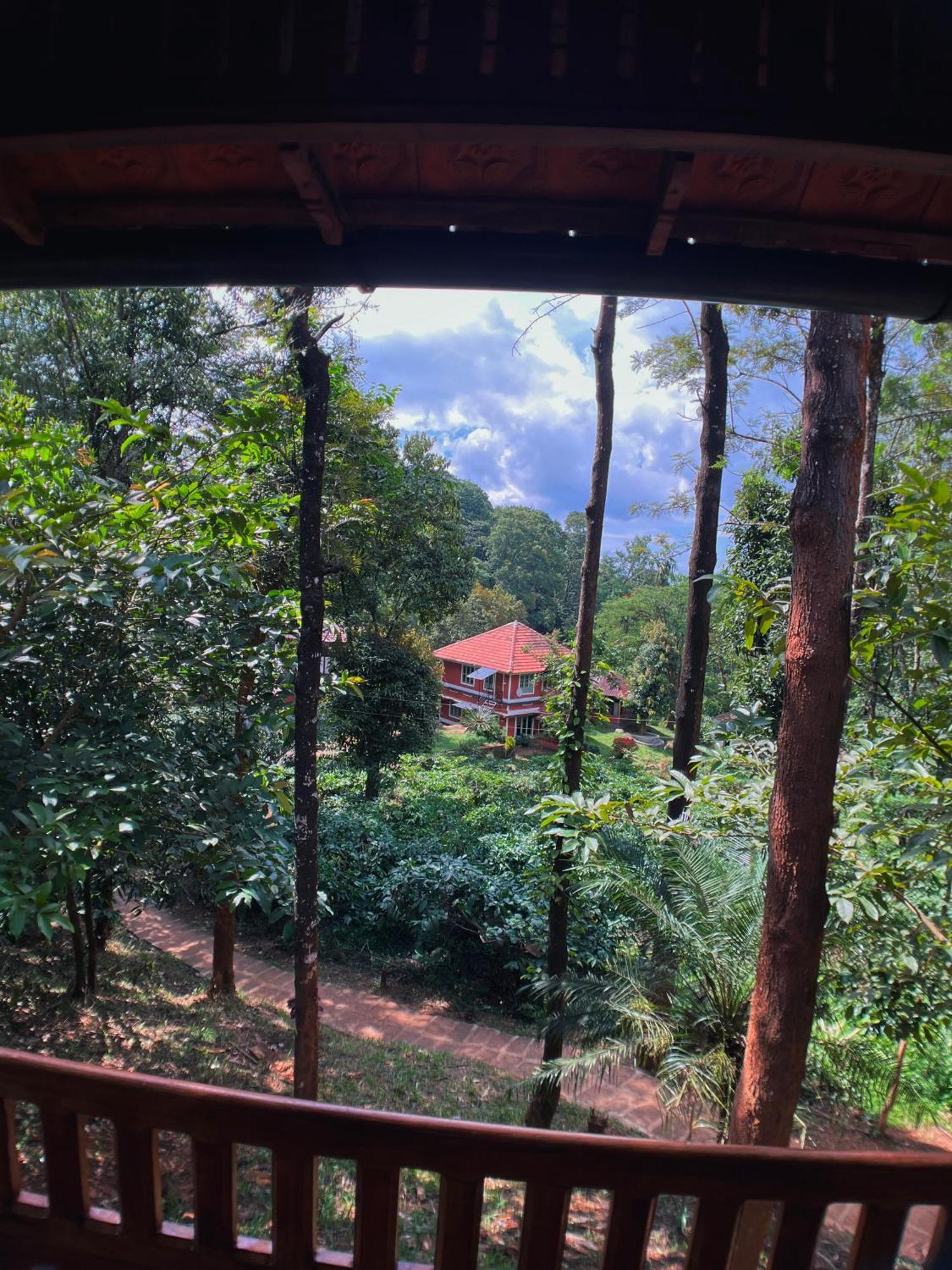 Mahout Resort Wayanad - An Experiential Jungle Stay With Waterfall Kalpetta Exterior photo
