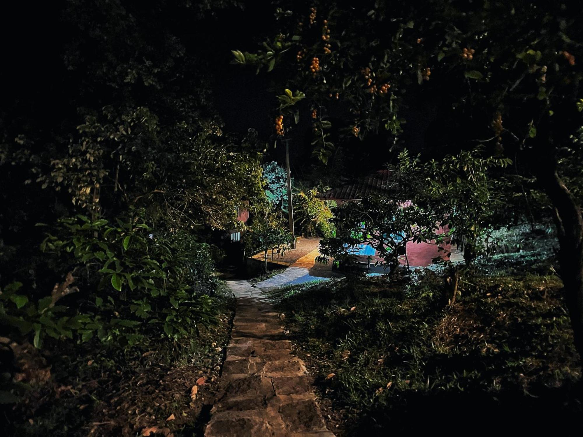 Mahout Resort Wayanad - An Experiential Jungle Stay With Waterfall Kalpetta Exterior photo